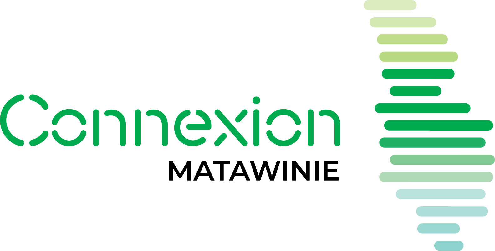 Logo client : Connexion Matawinie